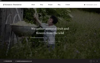 Rosebud browser